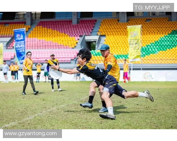 飞盘比赛经验排行榜揭晓广州飞盘队荣获第七名成就斐然