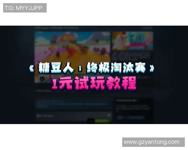 王丽独家分享CSGO游戏心得与技巧助你提升竞技水平