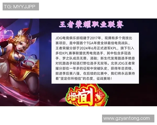 王者荣耀深度解析：全面剖析JDG战队成员的个人能力与战术配合